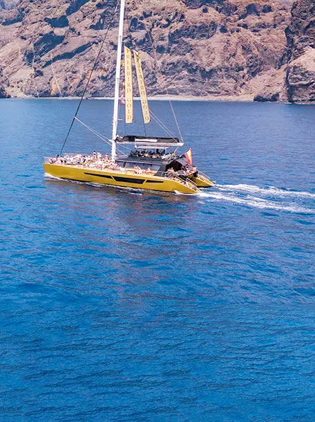 tenerife boat trip