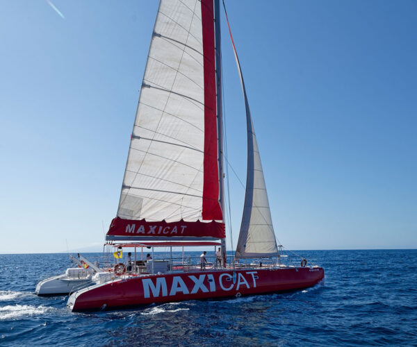 Maxicat Catamaran Boat Trip