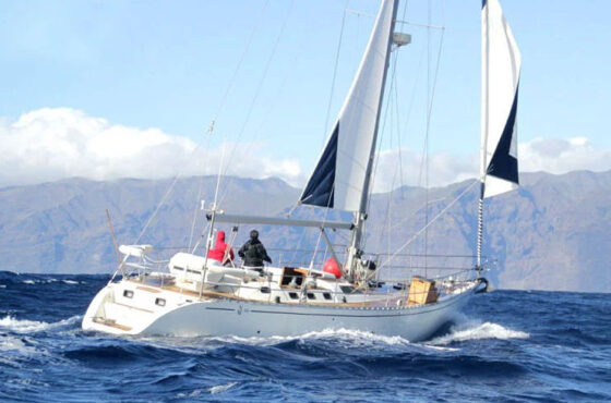 Lady Elsie Boat Trip