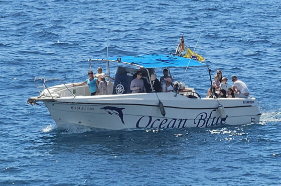 Ocean Blue Boat Trip
