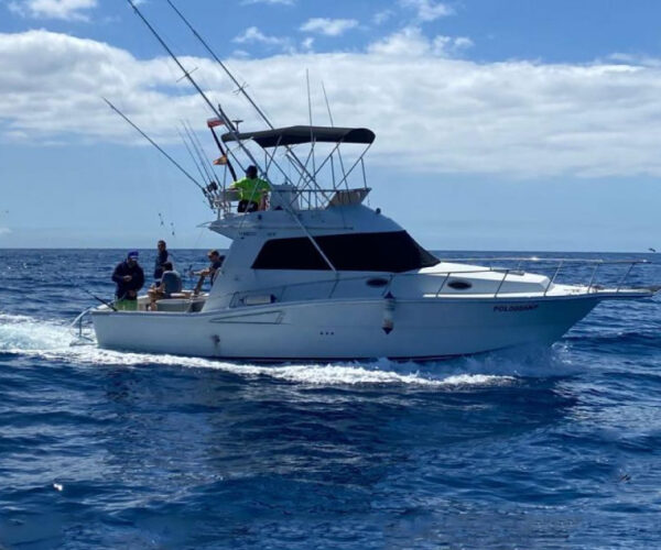Black and Blue Fishing Costa Adeje
