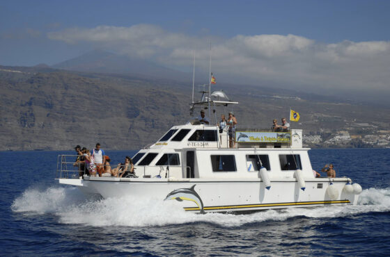 Nashira Uno Boat Trip