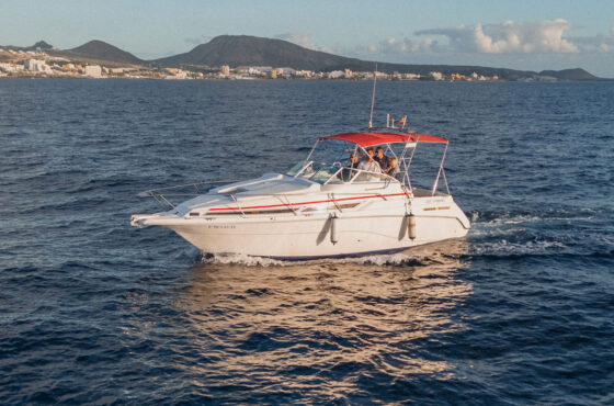 Rogue Cruiser Boat Charter